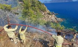 Mersin'de çıkan orman yangını kontrol altına alındı