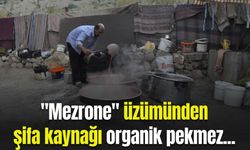 'Mezrone' üzümünden şifa kaynağı organik pekmez