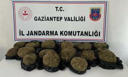 Otobüs bagajında 18 kilo skunk yakalandı