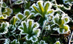 Kars'ta Soğuk Hava Kendini Gösterdi! Akşam 1 Dereceleri Gördü