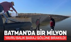 Batman'da Bir Milyon Yavru Balık Baraj Gölüyle Buluştu