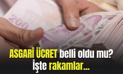 Asgari ücret belli oldu mu? İşte tüm rakamlar...