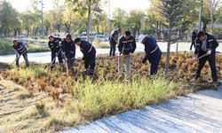 Diyarbakır’da belediyeye devredilen Millet Bahçesi yenileniyor