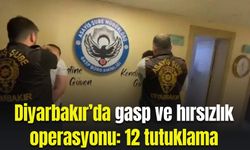 Diyarbakır’da gasp ve hırsızlık operasyonu: 12 tutuklama