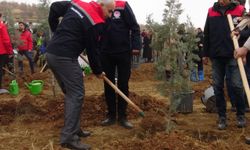 Malatya’da “Geleceğe Nefes” Temasıyla 15 Bin Fidan Toprakla Buluştu