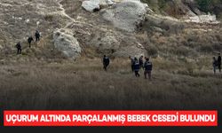 Mezarlık yakınında parçalanmış bebek cesedi bulundu