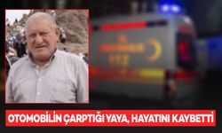 Otomobilin çarptığı 70 yaşındaki adam yaşamını yitirdi