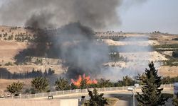 Şanlıurfa'da Gap Vadisi'nde yangın! İtfaiye sevk edildi