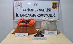 Suçüstü yakalandı! Zeytin hırsızlığı şüphelisi tutuklandı