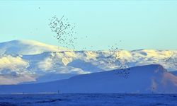 Kars Sarıkamış’ta Kar Yağışı Etrafı Beyaz Örtüye Bürüdü