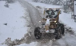 Kar nedeniyle 38 köy yolu ulaşıma kapanmış durumda