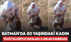 Batman’da 80 yaşındaki kadın, tavuklarını çalan tilkiyi elleriyle yakaladı