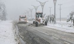 Bitlis'te Kar Yağışı 77 Köy Yolunu Kapattı