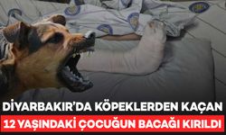 Diyarbakır’da köpek saldırısına uğrayan çocuğun bacağı kırıldı