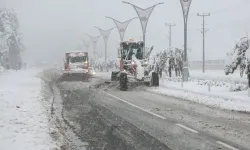 Doğu'da yoğun kar yağışı... 221 yerleşim birimi ulaşıma kapandı