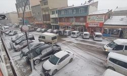 Kars ve Ağrı'da kar yağışı etkili oldu