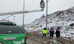 Muş'ta elektrik tellerine sıkışan yaralı puhu kurtarıldı