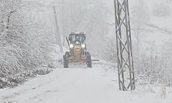 Şırnak'ta şiddetli fırtına hayatı olumsuz etkiledi