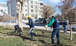 Peyzaj Çalışmaları Tam Gaz Devam Ediyor