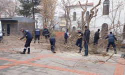 Diyarbakır'da 25 bin ağaç budandı; Odunlar ihtiyaç sahiplerine verildi