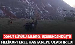 Domuz sürüsü saldırdı, uçurumdan düştü: Helikopterle hastaneye ulaştırıldı