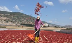 50 Milyon Dolarlık İhracatla Gaziantep'in Adı Dünyada Duyuldu