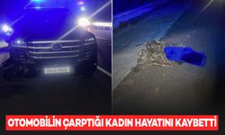 Mardin’de otomobilin çarptığı kadın, yaşamını yitirdi