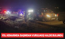 2 çocuk annesi, yol kenarında başından vurulmuş halde bulundu: 2 gözaltı