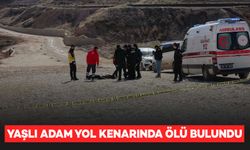 70 Yaşındaki Yaşlı Adam Yol Kenarında Ölü Bulundu