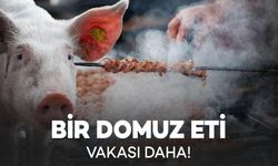 Bakanlık Listeyi Güncelledi! Bir Domuz Eti Vakası Daha!