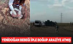 Cani anne, yeni doğan bebeği iple boğup araziye atmış