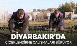 Diyarbakır’da Çiçeklendirme Çalışmaları Sürüyor