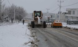 Diyarbakır’da kar yağışı nedeniyle 3 ilçede okullar tatil edildi