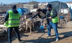 Diyarbakır’ın komşu ilçesinde kuduz alarmı: 3 kişi yaralandı, bölge karantinaya alındı!