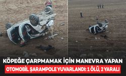 Köpeğe çarpmamak için manevra yapan otomobil şarampole yuvarlandı: 1 ölü, 2 yaralı