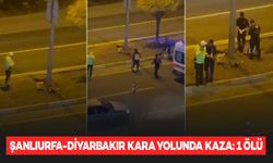 Şanlıurfa-Diyarbakır kara yolunda otomobilin çarptığı yaya öldü