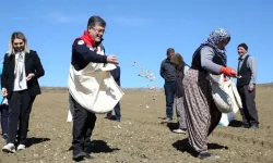 Bakan Yumaklı, Kastamonu'da Sarımsak Ekimi Gerçekleştirdi