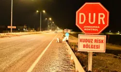 Adıyaman’da Kuduz Karantinası