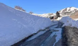 Çığ Nedeniyle Kapanan 2 Köy Yolu Ulaşıma Açıldı