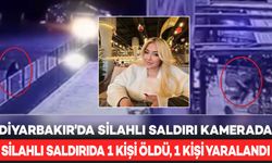 Diyarbakır'da 1 kadının öldüğü, 1 kişinin yaralandığı silahlı saldırı kamerada