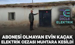 Diyarbakır’da abonesi olmayan evin kaçak elektrik cezası muhtara kesildi