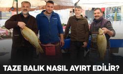 Diyarbakır’da Ramazan, balık tezgahlarını hareketlendirdi: İşte fiyatları