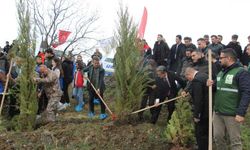 Dünya Ormancılık Günü Kapsamında Fidan Dikimi Yapıldı