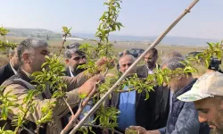 Don Felaketi: Çiftçiler Destek Talep Ediyor