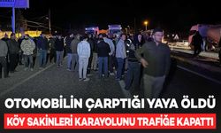 Otomobilin çarptığı yaya öldü; Köy sakinleri karayolunu trafiğe kapattı