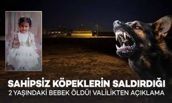 Sahipsiz Köpeklerin Saldırısına Uğrayan Bebek Hayatını Kaybetti! Valilikten Açıklama