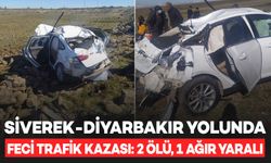 Siverek-Diyarbakır yolunda kaza: 2 ölü, 1 ağır yaralı