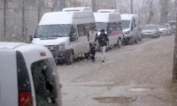 Van’da Bahar Yerini Kar Yağışına Bıraktı