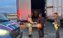 Ağrı’dan Çalınan 300 Küçükbaş Hayvan Bitlis’te Ele Yakalandı