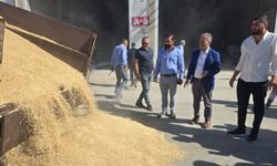 Mardin’de Sezonun İlk Arpa Hasadı Gerçekleşti